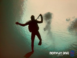 Norwaydive  ©Norwaydive  
Follow us on Instagram - @norwaydivemallorca
Follow us on Facebook – Norwaydive
Photos: Andre Føleide