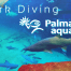 Shark-Diving-Palma-Aquarium.fw