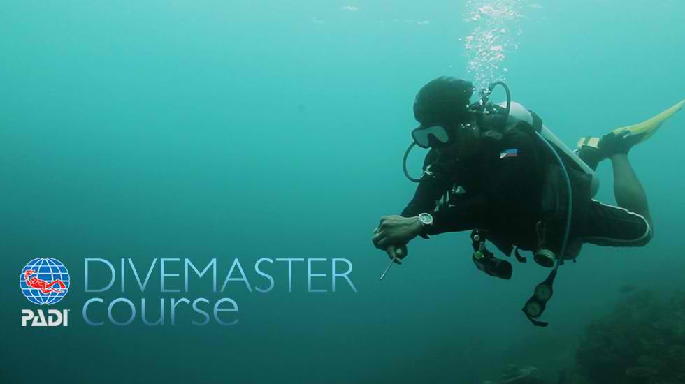 dive-master-course
