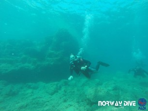 The first dive of an Open Water Diver course