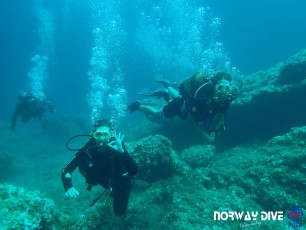 25.07.2020 Discover Scuba Dive, Open Water Course  and Advanced c