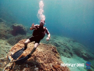 07.08.2020 Open Water Course and Divemaster Training