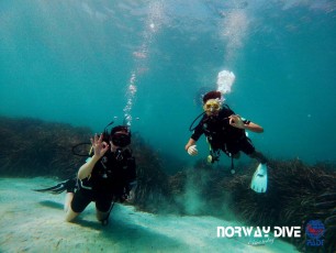 05.08.2020 Discover Scuba Dive & Bubblemaker