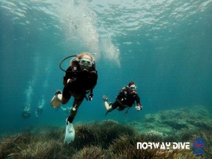 20.08.2020 Discover Scuba Dive & Advanced Underwater Navigation