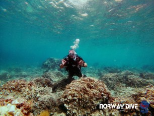 21.08.2020 Discover Scuba Diving & Open Water Diver Course
