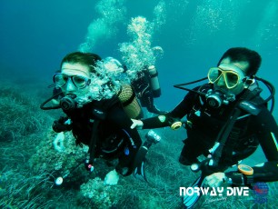 Norwaydive  ©Norwaydive  
Follow us on Instagram - @norwaydivemallorca
Follow us on Facebook – Norwaydive
Photos: Andre Foeleide
