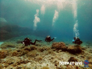 28.05.2021 Discover Scuba Diving