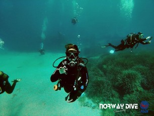29.05.2021 Open Water Course and Fun Dive