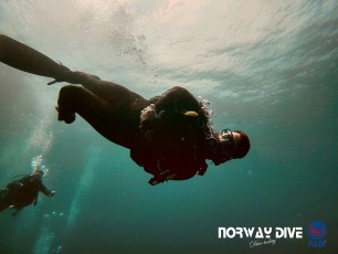 Norwaydive  ©Norwaydive  
Follow us on Instagram - @norwaydivemallorca
Follow us on Facebook – Norwaydive
Photos: Andre Føleide