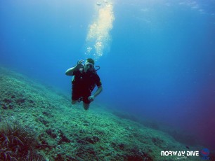 Discover Scuba Diving and one of the most important dives of the Advanced Open Water course - Peak Performance Buoyancy!