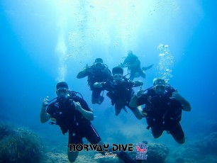 Norway Dive

©Norway Dive. Follow us on Instragram @norwaydivemallorca Fotos: Alex Wayne and Pål Dye Iversen