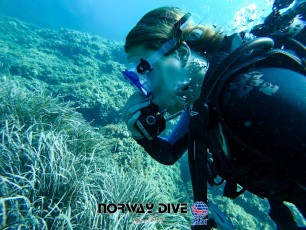 Norway Dive

©Norway Dive. Follow us on Instragram @norwaydivemallorca Fotos: Alex Wayne and Pål Dye Iversen