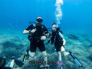 Norway Dive

©Norway Dive. Follow us on Instragram @norwaydivemallorca Fotos: Alex Wayne and Andre Føleide
