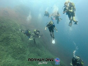 Norway Dive

©Norway Dive. Follow us on Instragram @norwaydivemallorca Foto: Alex Wayne. www.wayne.nu , www.facebook.com/AlexWaynePhoto