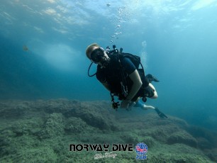 Norway Dive

©Norway Dive. Follow us on Instragram @norwaydivemallorca Foto: Alex Wayne. www.wayne.nu , www.facebook.com/AlexWaynePhoto
