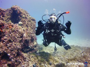 Discover Scuba Diving 26.02.2019