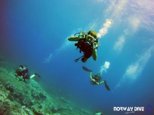 06.08.2019 Discover Scuba Diving