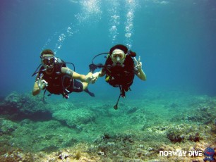 08.08.2019 Discover Scuba Diving