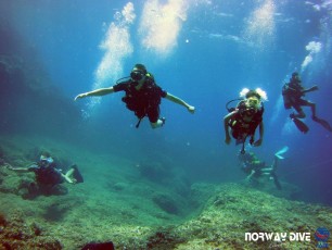 05.08.2019 Discover Scuba Diving