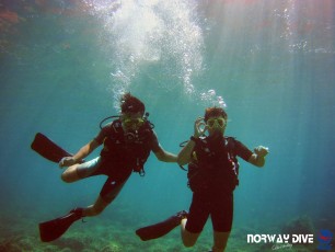 Norwaydive  ©Norwaydive  
Follow us on Instagram - @norwaydivemallorca
Follow us on Facebook – Norwaydive
Photos: Carl Prince