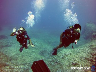 26.08.2019 Discover Scuba Diving