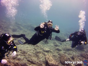 Discover Scuba Diving 31.10.19