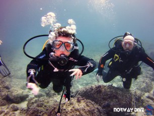 Discover Scuba Diving 01.11.2019