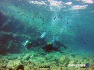 29.09.2017 Fun Dive & Discover Scuba Diving
