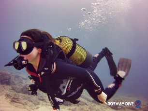 Norwaydive
©Norwaydive  
Follow us on Instagram - @norwaydivemallorca
Photos: Andre Føleide
Follow us on Facebook - Norwaydive