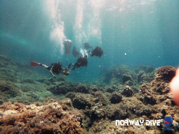 PADI Divemaster - Image 7