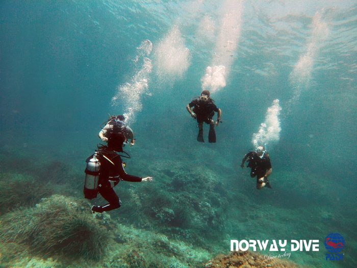 PADI Divemaster - Image 6