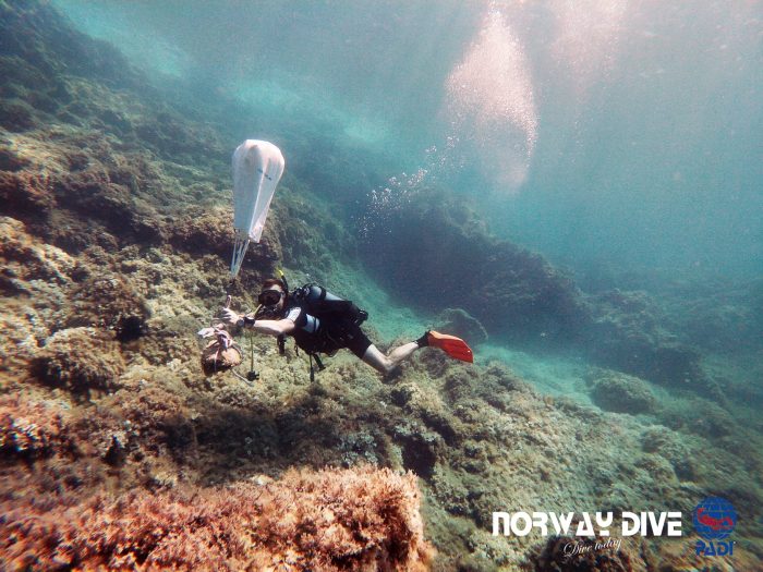 PADI Divemaster - Image 5