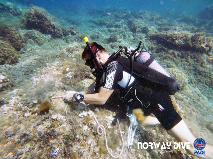 PADI Divemaster - Image 4