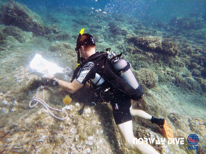 PADI Divemaster - Image 3
