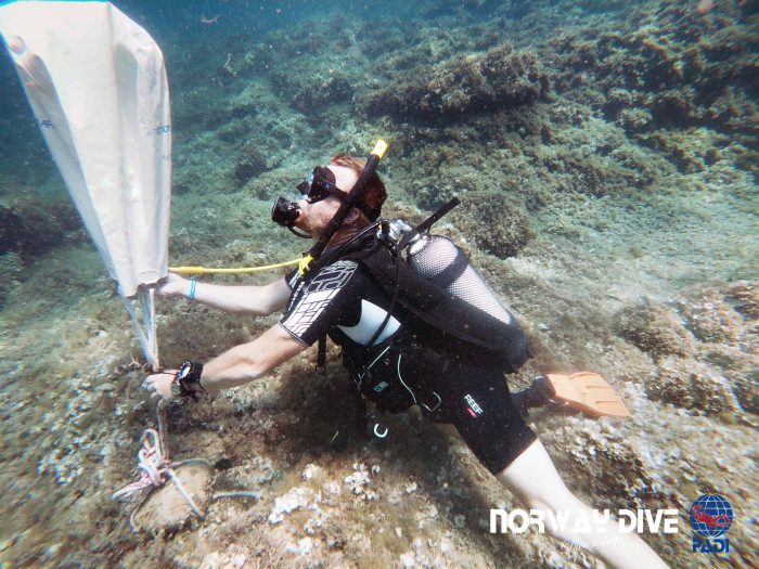 PADI Divemaster - Image 2