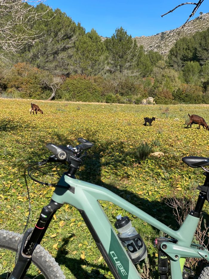EMTB Mallorca Custom Payment € - Image 20