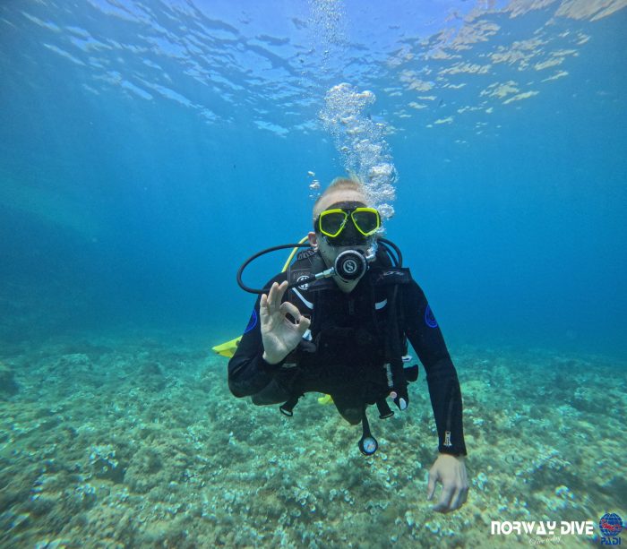 PADI Open Water Diver - Image 2