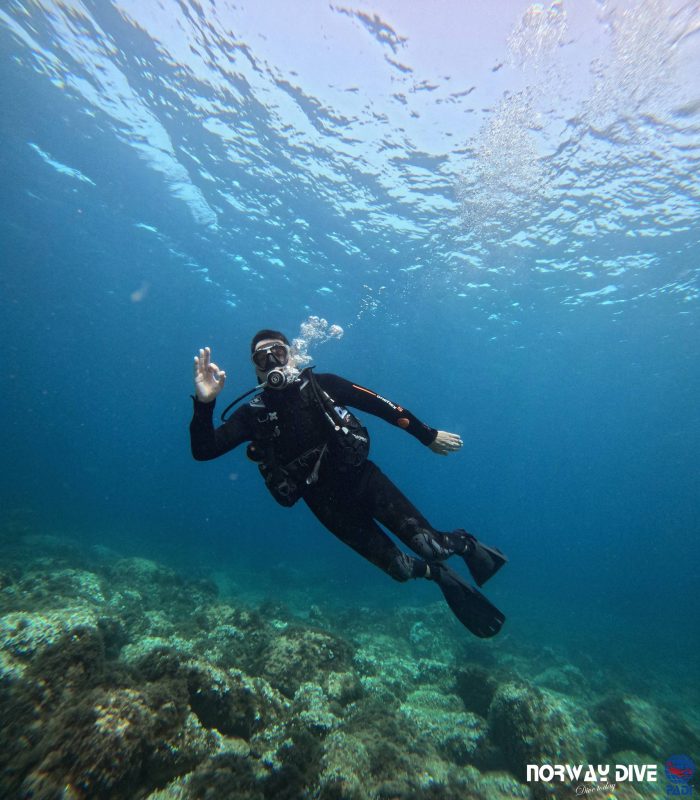 PADI Open Water Diver - Image 24
