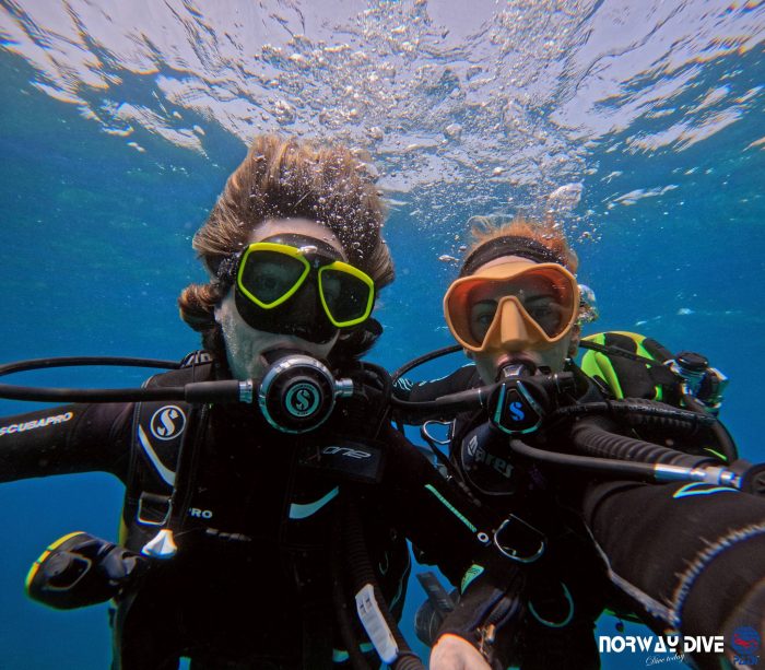 PADI Open Water Diver - Image 23
