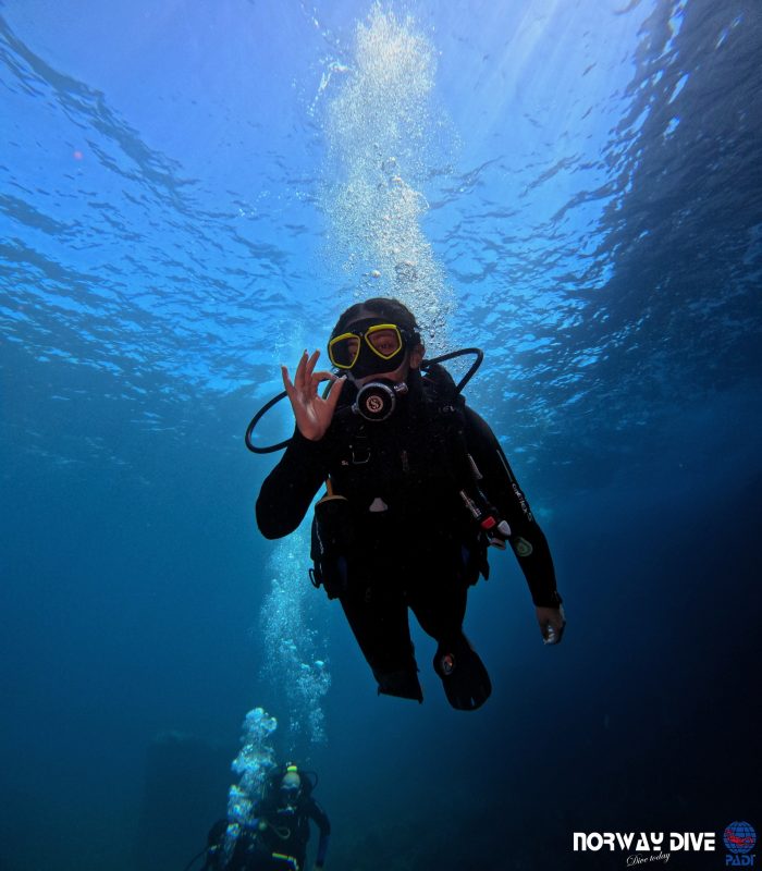 PADI Open Water Diver - Image 20