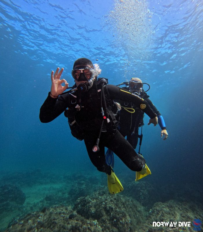PADI Open Water Diver - Image 19