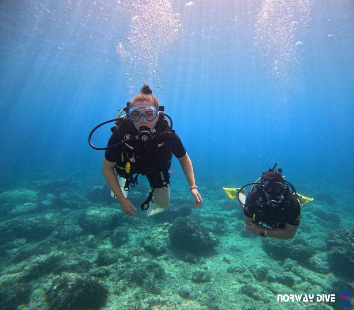 PADI Open Water Diver - Image 17
