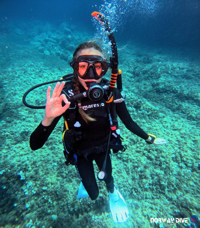 PADI Open Water Diver - Image 16