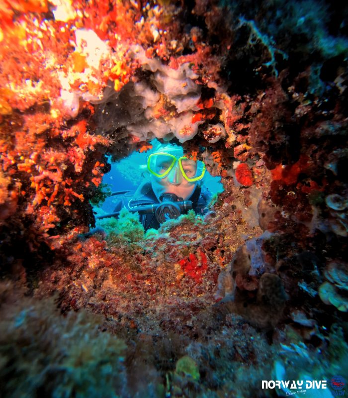 PADI Open Water Diver - Image 15