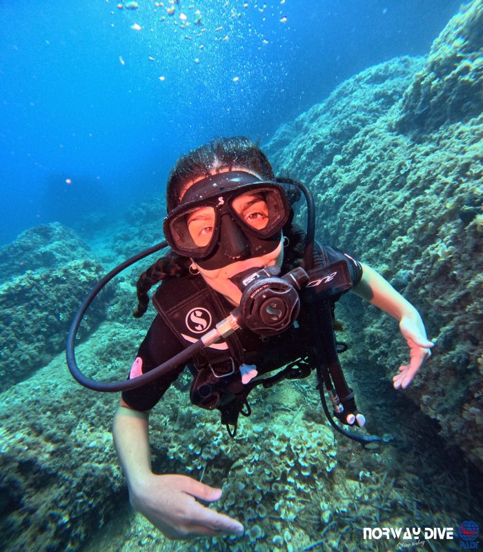 PADI Open Water Diver - Image 14