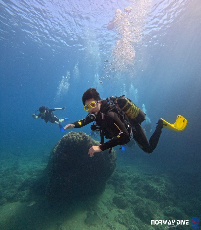PADI Open Water Diver - Image 13