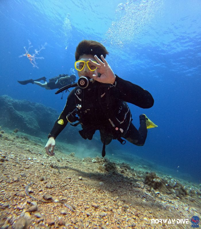 PADI Open Water Diver - Image 12