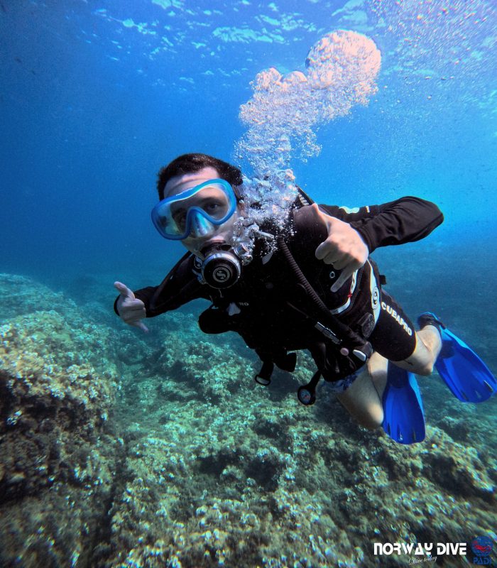 PADI Open Water Diver - Image 9