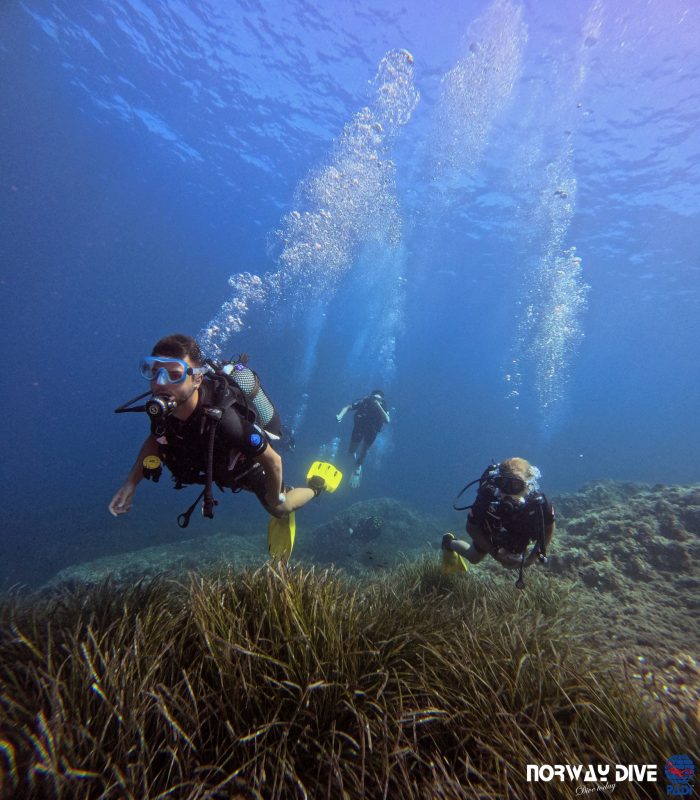 PADI Open Water Diver - Image 8