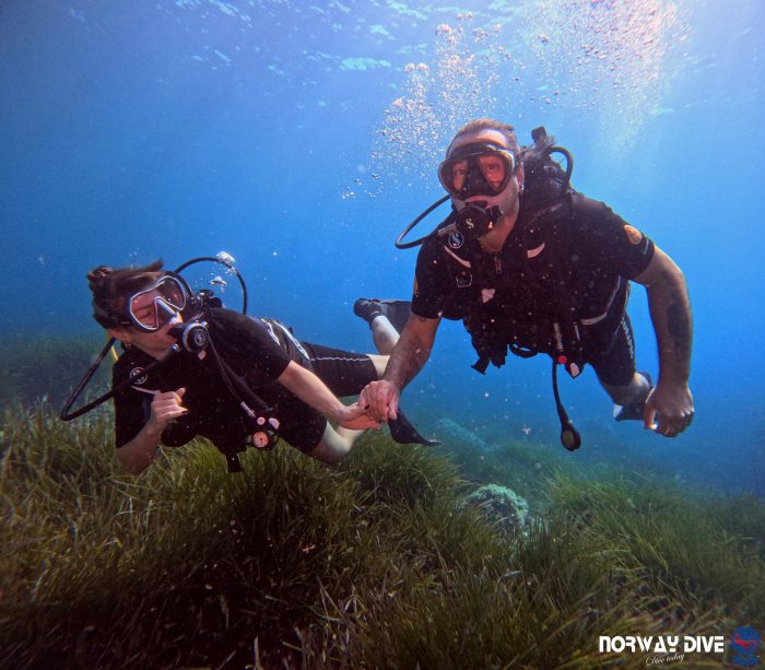 PADI Open Water Diver - Image 7